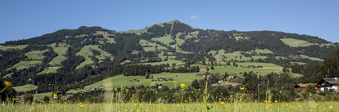 Sommerliche Landschaft
