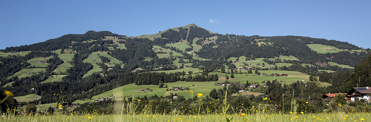 Sommerliche Landschaft